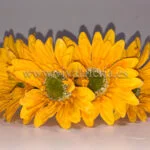 Flamenco hair accessory with daisies