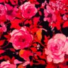 Fuchsia-Blumen